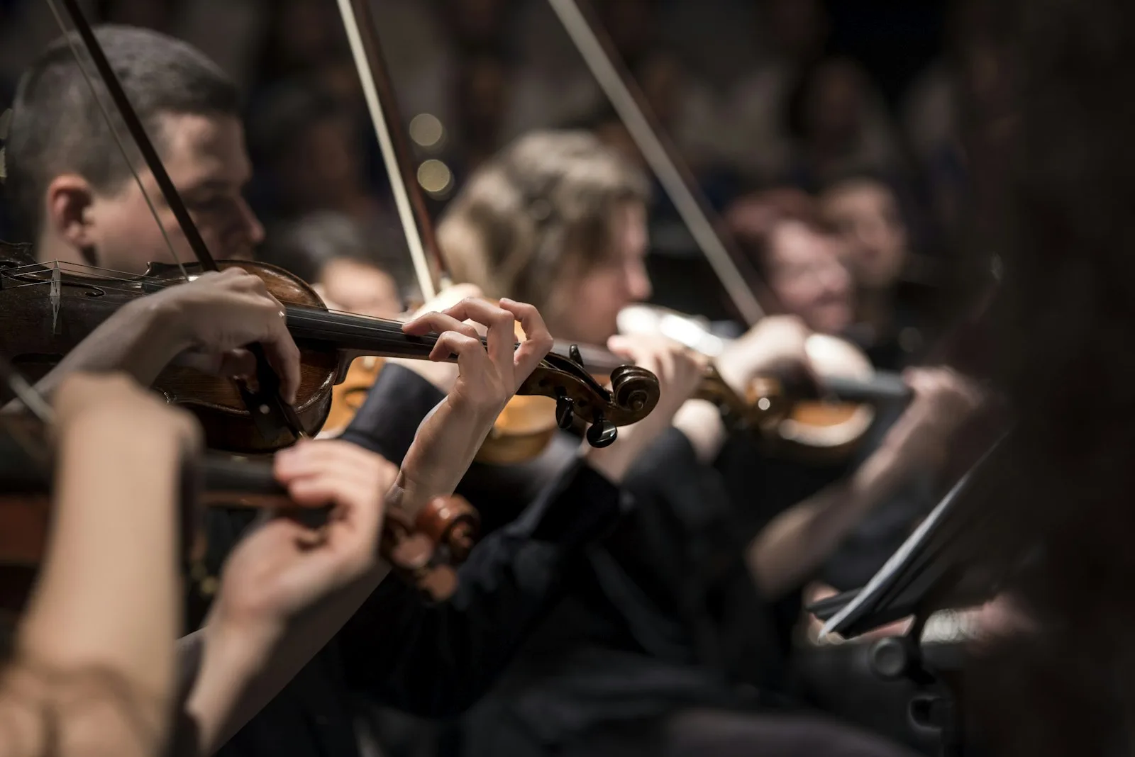 Orchestra Concert — MUSON Festival